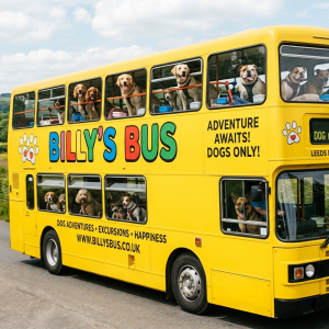 UNE FEMME AU VOLANT D’UN BUS RÉSERVÉ AUX TRAJETS DE CHIENS 